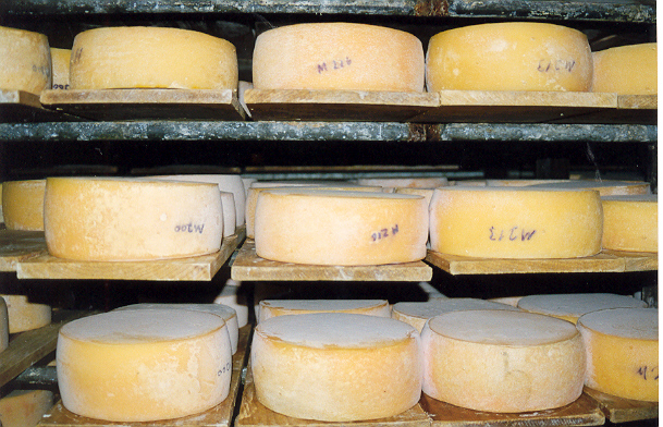 queijo