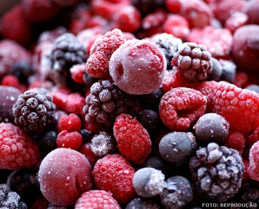 Alimentos congelados - métodos de congelamento Alimentos congelados - métodos de congelamento