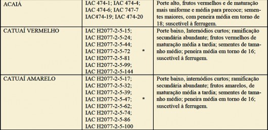 Características das cultivares