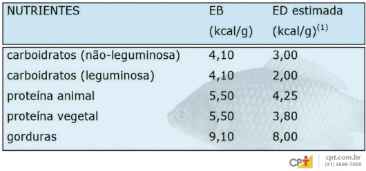 Cálculo de nutrientes para peixes