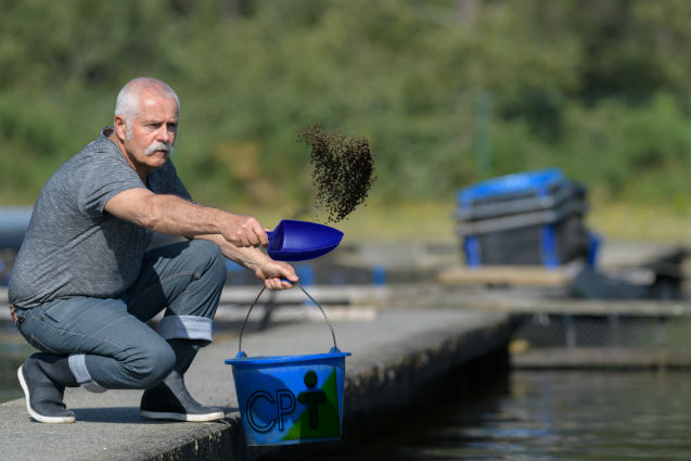 Nutrição de peixes - exigência energética    Artigos Cursos CPT