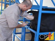 Definição de inseminação artificial em bovinos - Cursos CPT Definição de inseminação artificial em bovinos - Inseminação artificial em bovinos o ato de deposição do sêmen no útero da fêmea, por meio de materiais apropriados, sem a utilização da monta tradicional