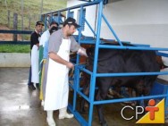 Objetivos e vantagens da inseminação artificial em bovinos - Cursos CPT Objetivos e vantagens da inseminação artificial em bovinos - A inseminação artificial permite a utilização do sêmen de touros europeus, em vacas criadas em condições tropicais, possibilitando o cruzamento entre raças (cruzamento industrial)