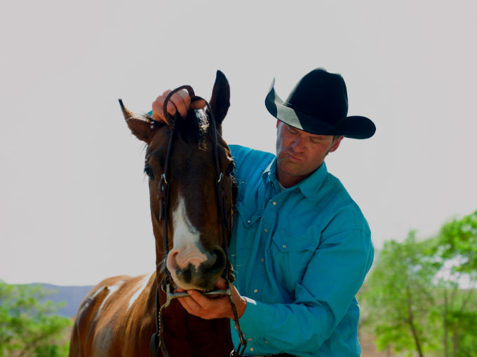 Em uma doma bem sucedida, o cavalo percebe o homem como amigo