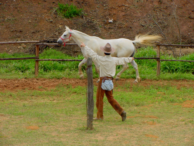 Se o equídeo tem bastante ardência, então é um animal assustado, toque-o sem deixá-lo nervoso