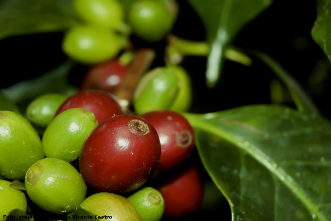 O agricultor deve adotar práticas ecológicas de cultivo, como a adubação verde, rotação de culturas e a proteção de mananciais