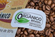 No Brasil, as principais regiões produtoras de café orgânico são o Espirito Santo, o sul de Minas e o interior de São Paulo No Brasil, as principais regiões produtoras de café orgânico são o Espirito Santo, o sul de Minas e o interior de São Paulo
