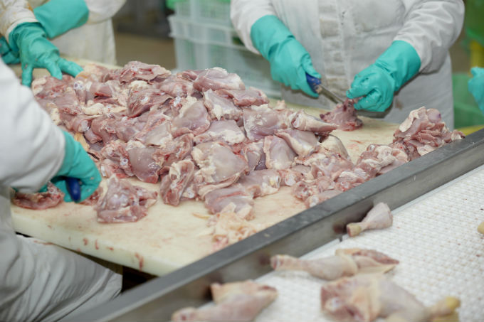 O conceito de qualidade total, cada vez mais, deve ser compreendido e executado por todo segmento da cadeia de produção de frango de corte