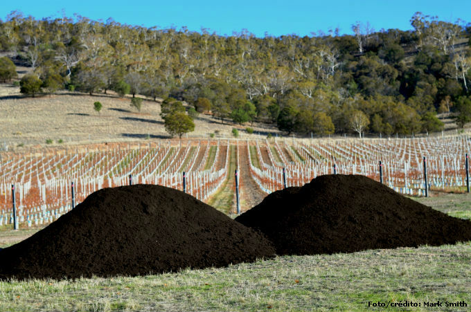A utilização de composto orgânico nas adubações produz múltiplos efeitos sobre o solo e plantas cultivadas