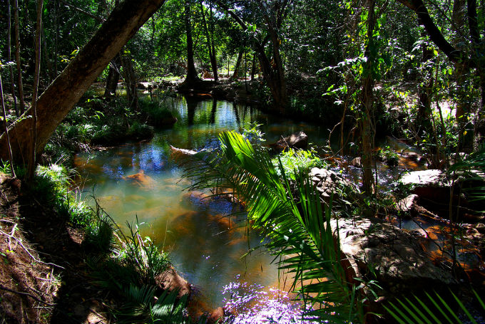O GF protege as áreas naturais por meio de UC, estratégia eficaz para a manutenção dos recursos naturais em longo prazo. Foto: Otávio Nogueira prazo