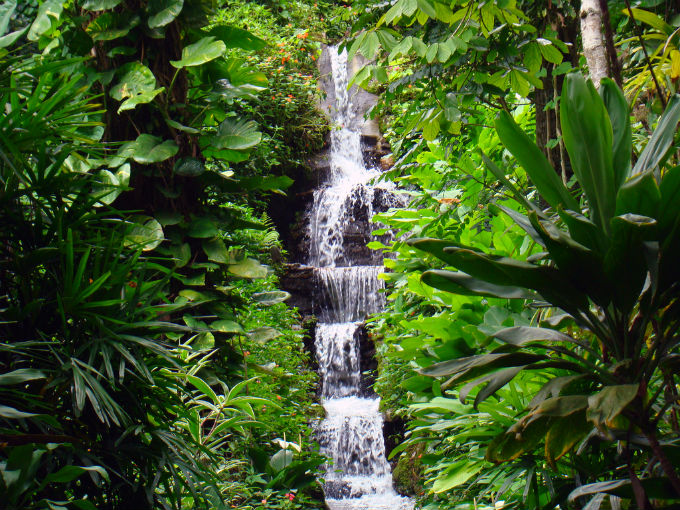 A UC é o espaço territorial e seus recursos ambientais, incluindo as águas jurisdicionais, com características naturais relevantes. Foto: Rodrigo_Soldon