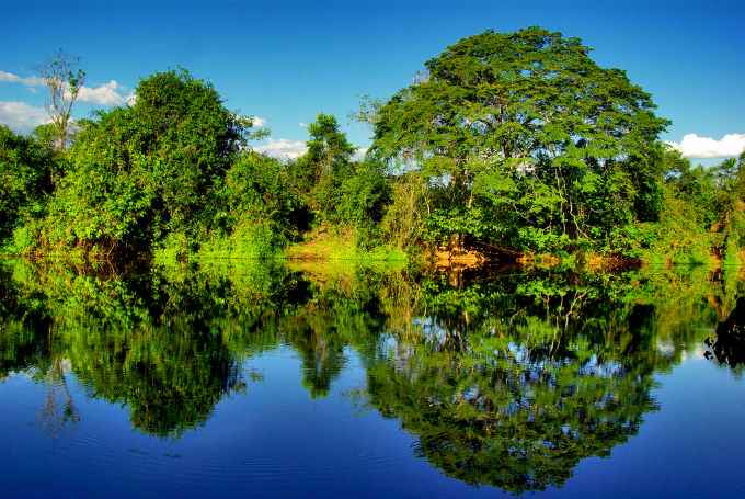 A Mata Atlântica, um dos biomas mais ricos do mundo, é a floresta mais ameaçada do planeta. Foto: Otávio Nogueira