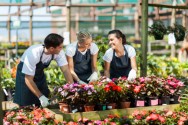 O profissional florista, no exercício da sua profissão, pode trabalhar como proprietário, funcionário de uma floricultura 