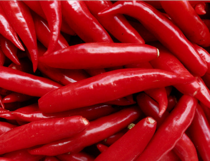 A Pimenta Malagueta tem coloração vermelha, forma alongada e forte pungência.