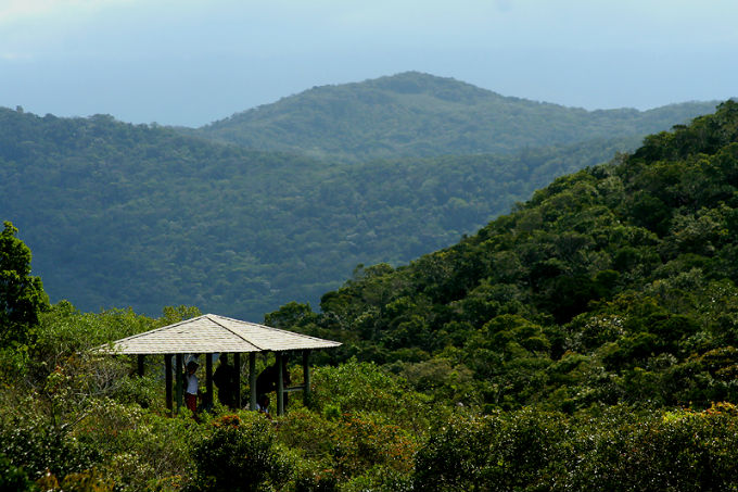 O condutor ecológico deve gostar da natureza, ter consciência ecológica e conhecer os pontos turísticos. Foto: Thiago Pessato