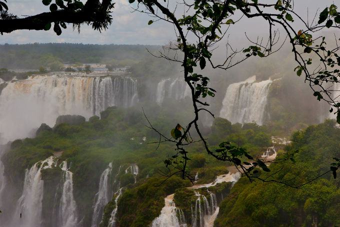 Os biomas são riquezas nacionais, ecossistemas, que funcionam de forma estável e vistos em diferentes configurações geográficas. Foto Danielle Pereira