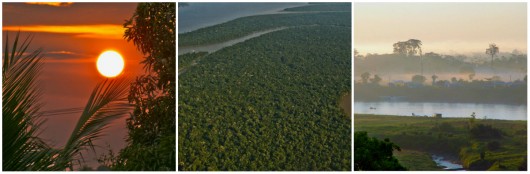 Biomas do Brasil - Floresta Amazônica. Foto: Reprodução Biomas do Brasil - Floresta Amazônica. Foto: Reprodução