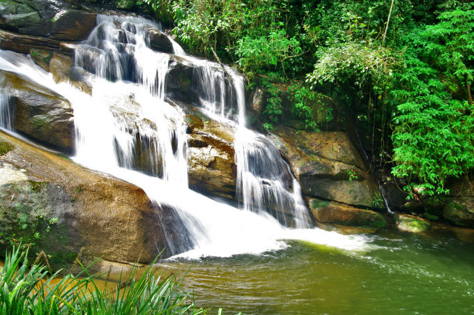 Biomas do Brasil - Riquezas da Mata Atlântica. Foto: Otávio Nogueira