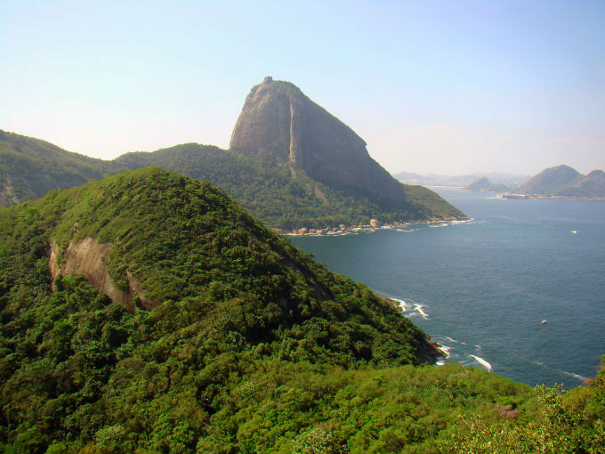 Biomas do Brasil - Riquezas da Mata Atlântica. Foto: Rodrigo Soldon