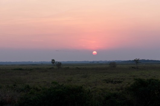 Biomas do Brasil - Pampa Biomas do Brasil - Pampa