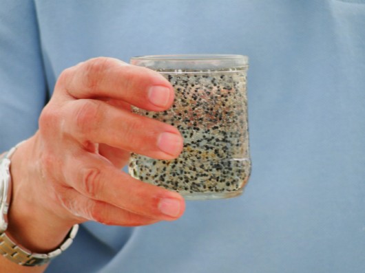 Criação de rãs - como fazer a fertilização artificial em ranários Criação de rãs - como fazer a fertilização artificial em ranários