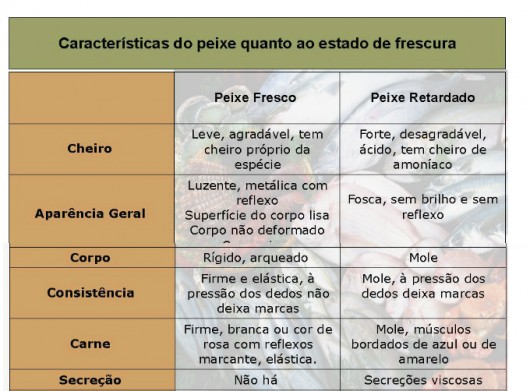 Peixes - você sabe como escolher os bons pescados para o consumo? Peixes - você sabe como escolher os bons pescados para o consumo?