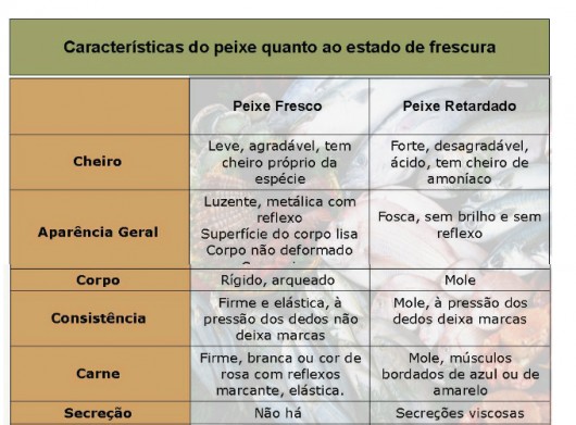 Peixes - você sabe como escolher os bons pescados para o consumo?