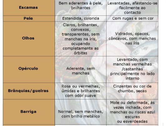 Peixes - você sabe como escolher os bons pescados para o consumo? Peixes - você sabe como escolher os bons pescados para o consumo?