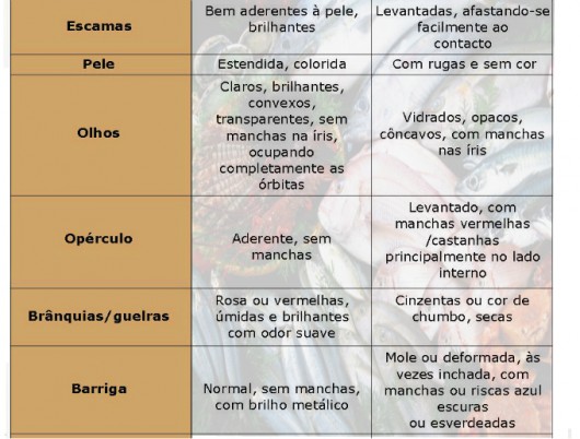 Peixes - você sabe como escolher os bons pescados para o consumo?