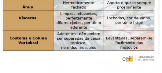 Peixes - você sabe como escolher os bons pescados para o consumo?