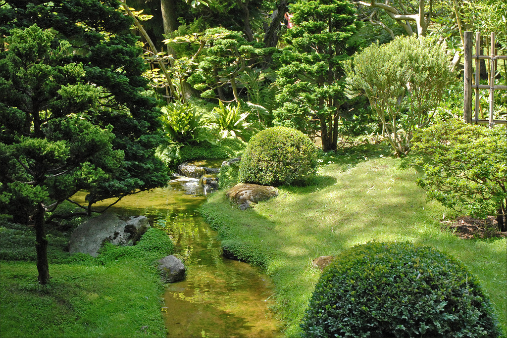O gramado tem a propriedade de “clarear” e abrandar espaços entre as árvores e arbustos de um jardim. Foto: Dalbera