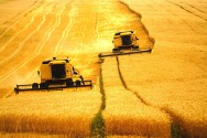 Setor Agrícola O Brasil apresenta a maior área a ser utilizada para expansão do setor agrícola, seguido dos Estados Unidos e da Rússia.