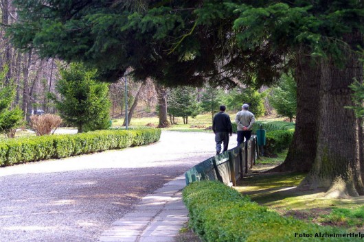 Cuidador de idosos - você sabe como gerenciar o tempo de idosos portadores de Alzheimer Cuidador de idosos - você sabe como gerenciar o tempo de idosos portadores de Alzheimer
