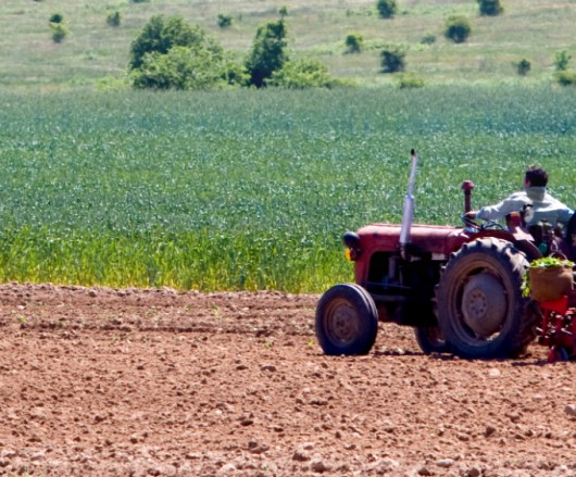 Resultado de imagem para REDUÇÃO DE IMPACTOS DA AGRICULTURA NO SOLO cpt