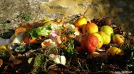 Faixas de temperatura entre 5 e 65º C favorecem a proliferação de microrganismos e deterioração dos alimentos Faixas de temperatura entre 5 e 65º C favorecem a proliferação de microrganismos e deterioração dos alimentos