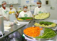 As hortaliças devem ser de ótima qualidade, sem manchas ou marcas de inseto As hortaliças devem ser de ótima qualidade, sem manchas ou marcas de inseto
