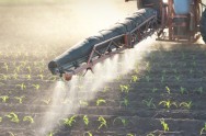 O uso criterioso da irrigação, dos fertilizantes e dos pesticidas são essenciais O uso criterioso da irrigação, dos fertilizantes e dos pesticidas são essenciais