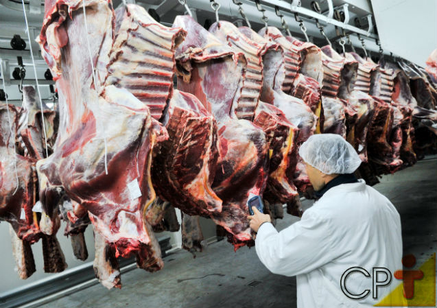 Abate humanitário de animais - prática que diminui a dor e o estresse animal no pré-morte Artigos Cursos CPT Abate humanitário de animais - prática que diminui a dor e o estresse animal no pré-morte Artigos Cursos CPT