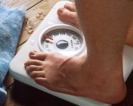Estudos comprovaram que os efeitos terapêuticos de algumas plantas medicinais sobre certas doenças, como a obesidade, além de vantajosos, são muito eficazes. Foto: Reprodução Estudos comprovaram que os efeitos terapêuticos de algumas plantas medicinais sobre certas doenças, como a obesidade, além de vantajosos, são muito eficazes. Foto: Reprodução