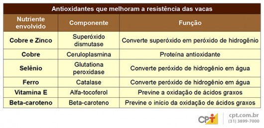 Gado de leite - suplementação atua na prevenção da mastite e aumenta a qualidade do leite