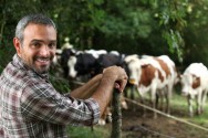 A compração com fazendas do mesmo porte ajuda o produtor a enxergar se na fazenda está havendo desperdício ou eficiência de recursos A compração com fazendas do mesmo porte ajuda o produtor a enxergar se na fazenda está havendo desperdício ou eficiência de recursos