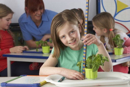 O Construtivismo nas aulas práticas e demonstrativas O Construtivismo nas aulas práticas e demonstrativas
