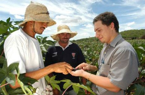 As cooperativas agrícolas garantem boas vantagens aos trabalhadores e aos produtores rurais. Foto: Reprodução