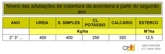 Produção de acerola - tipos de irrigação e de adubação