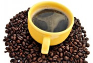 Na classificação do café de acordo com o tipo de bebida, o especialista fará uma forte sucção e permanecerá com o produto na boca tempo suficiente até sentir o sabor. Na classificação do café de acordo com o tipo de bebida, o especialista fará uma forte sucção e permanecerá com o produto na boca tempo suficiente até sentir o sabor.