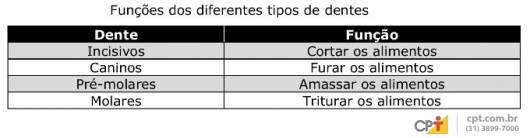 Auxiliar de Dentista - cavidade oral humana e dentições