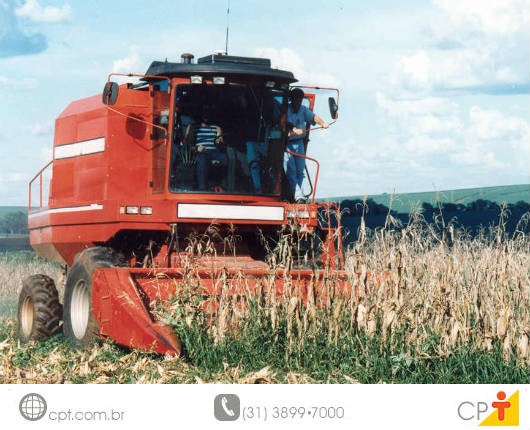 Como planejar a colheita manual e mecânica do milho