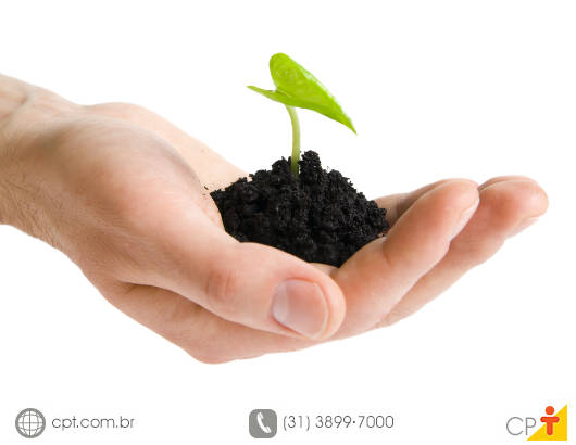Você sabe o que é banco de sementes do solo? O banco de sementes do solo é formado, principalmente, por espécies pioneiras que, normalmente, apresentam dispersão a longa distância