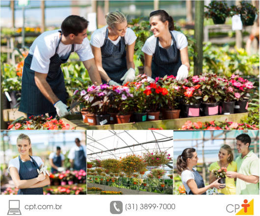 Montar um viveiro e produzir plantas ornamentais ficou mais fácil Cursos lançados pelo CPT ensinam, na prática, os detalhes para implantar um viveiro, produzir e comercializar plantas ornamentais