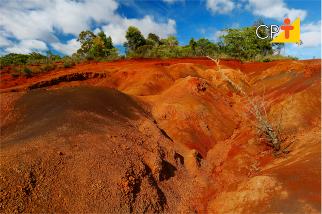 Os principais fatores que geram a degradação ou depauperação do solo estão relacionados com a ocupação do solo